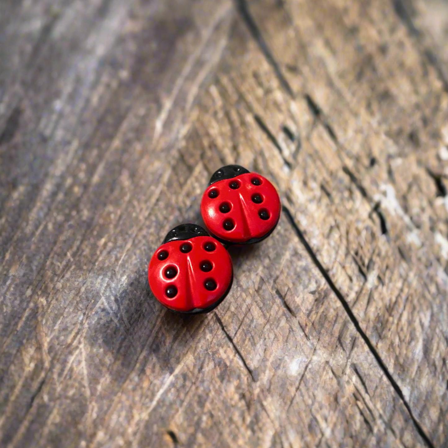 LADYBUG Earrings spread colors of warmth and happiness everywhere they goPink tiful of LOVE