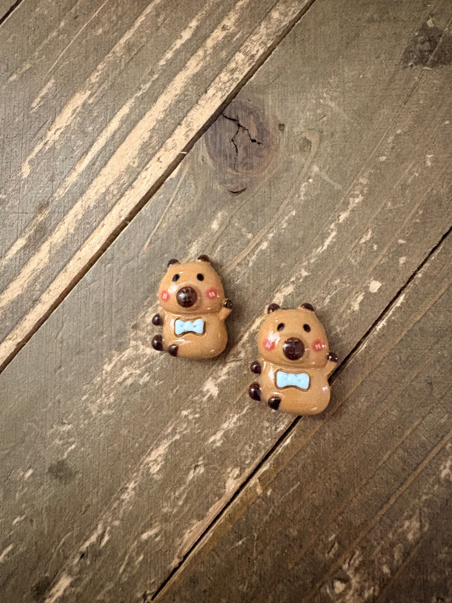 Capybara Stud Earrings — Cute Dressed-Up Capybara (5 Styles)