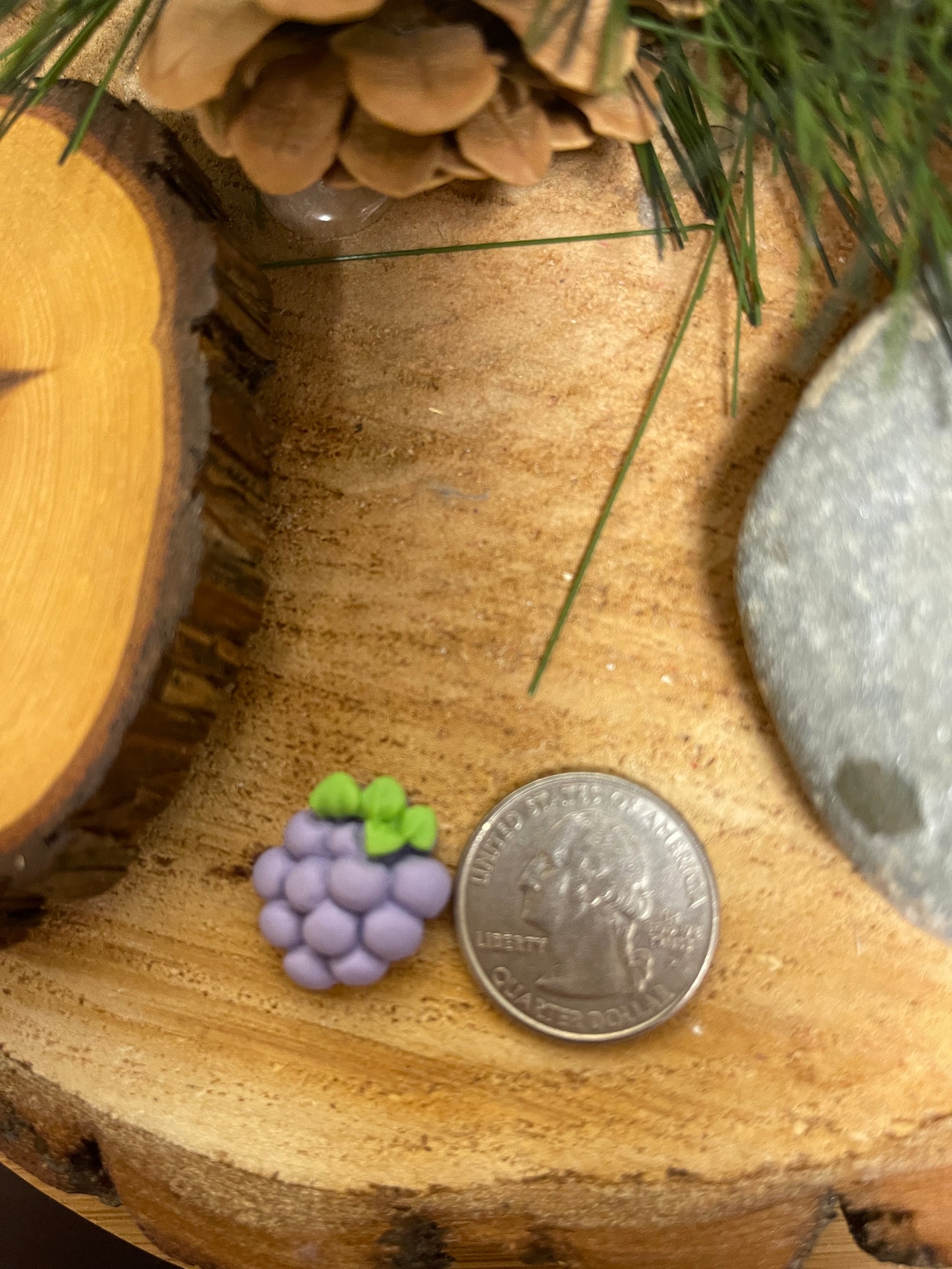 Fruity Earrings (6 fruit to choose from)Pink tiful of LOVE