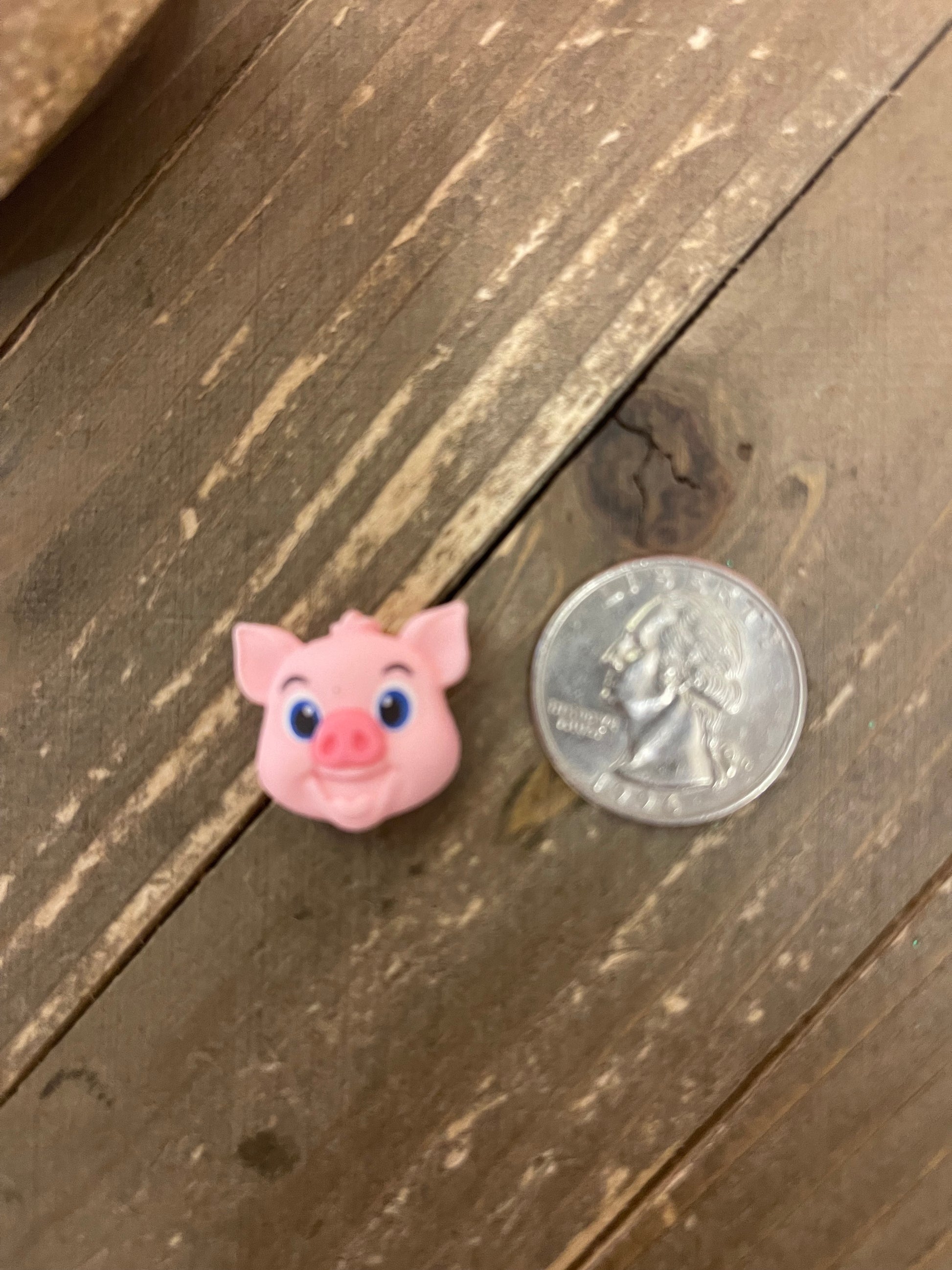 Piggly Wiggly Collection Stud EarringsPink tiful of LOVE