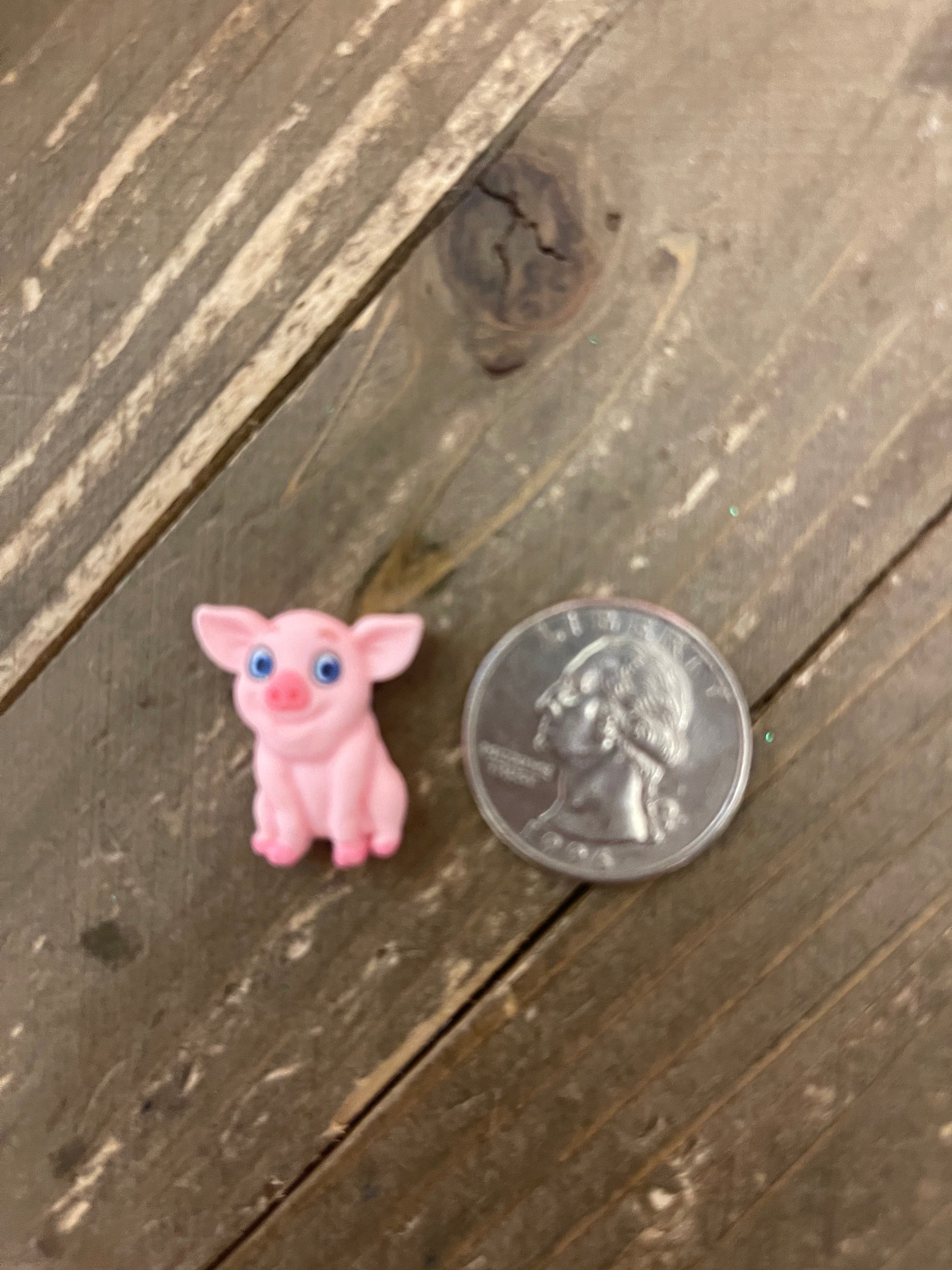 Piggly Wiggly Collection Stud EarringsPink tiful of LOVE