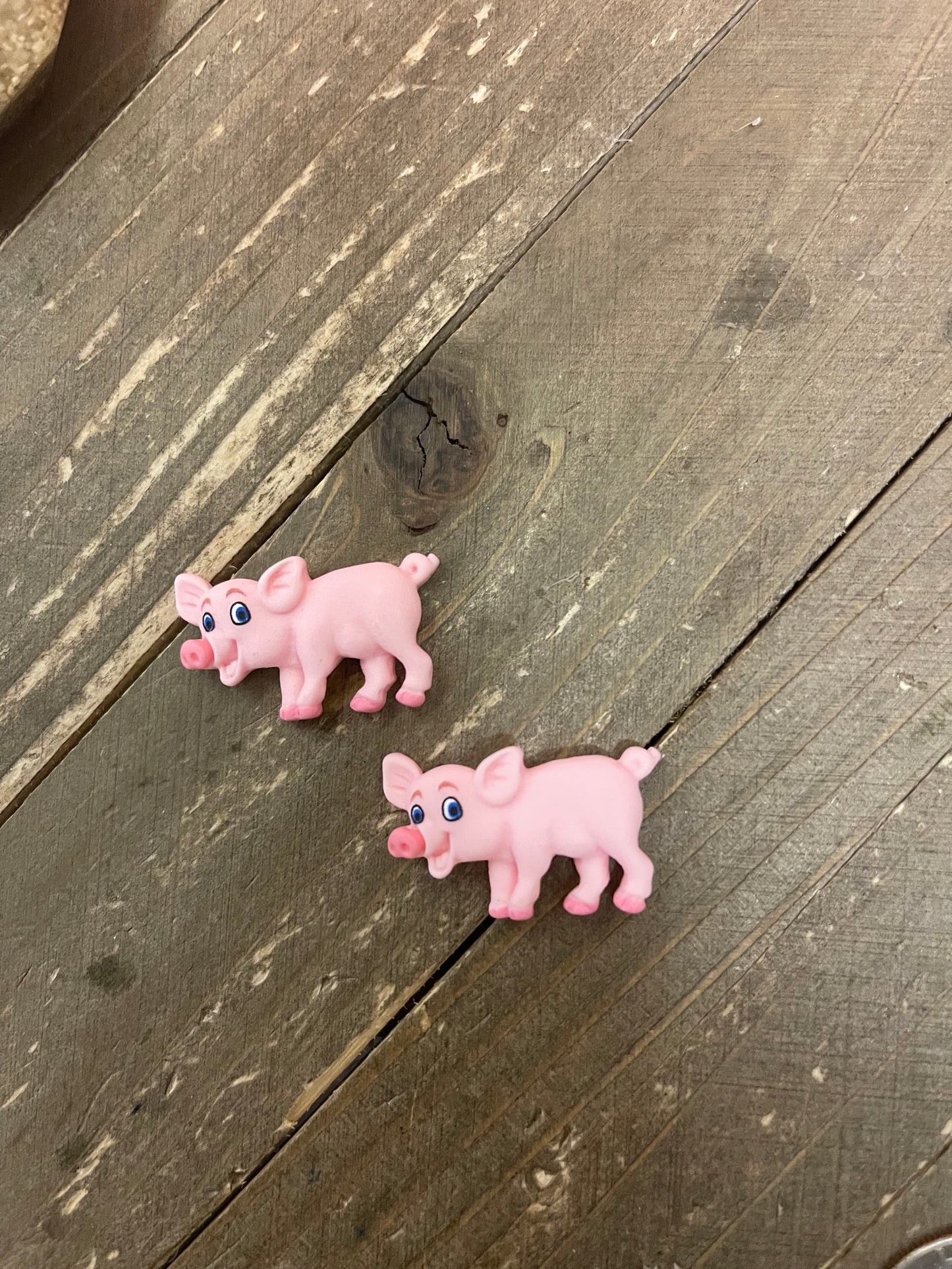 Piggly Wiggly Collection Stud EarringsPink tiful of LOVE