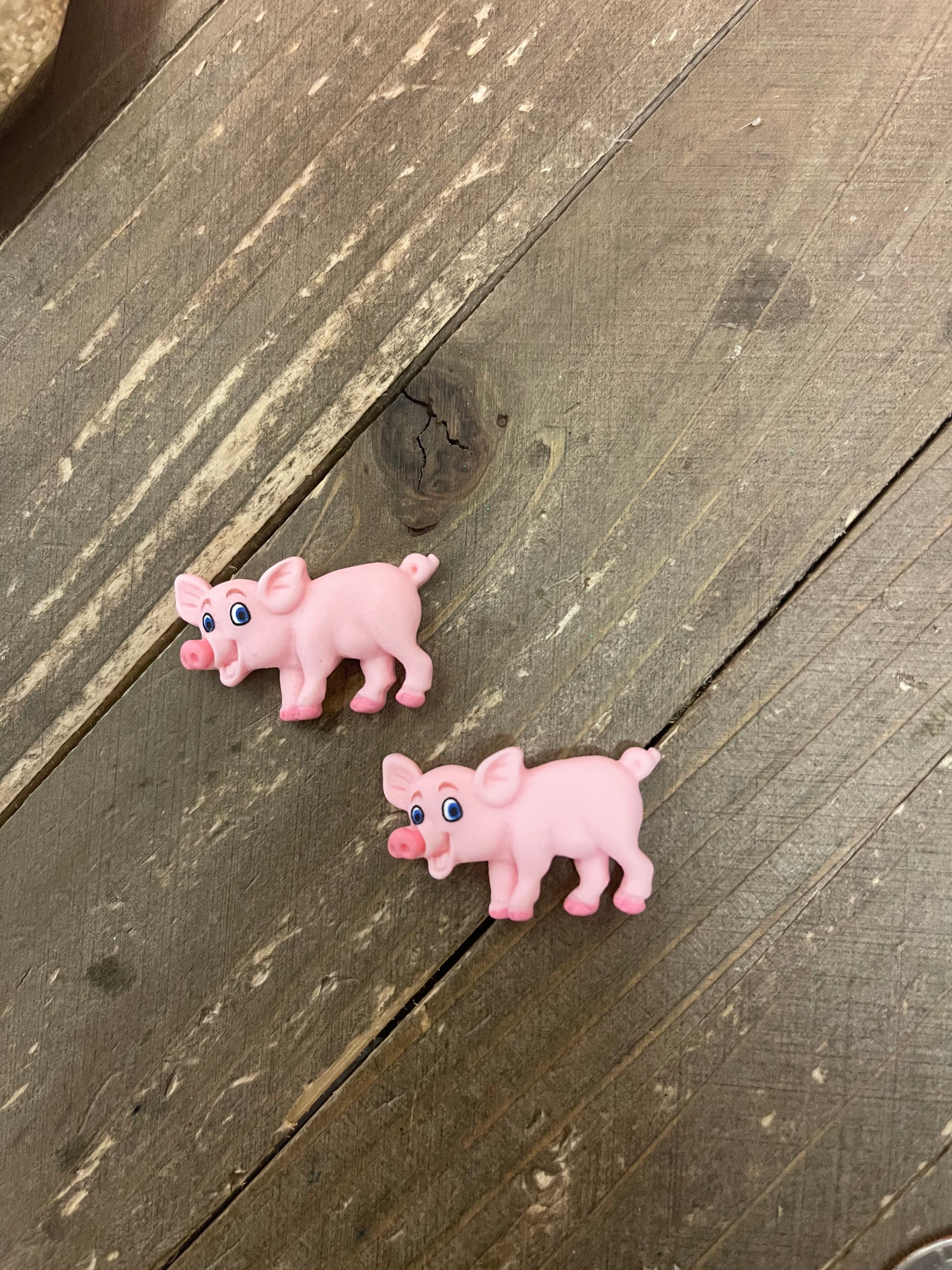 Piggly Wiggly Collection Stud EarringsPink tiful of LOVE