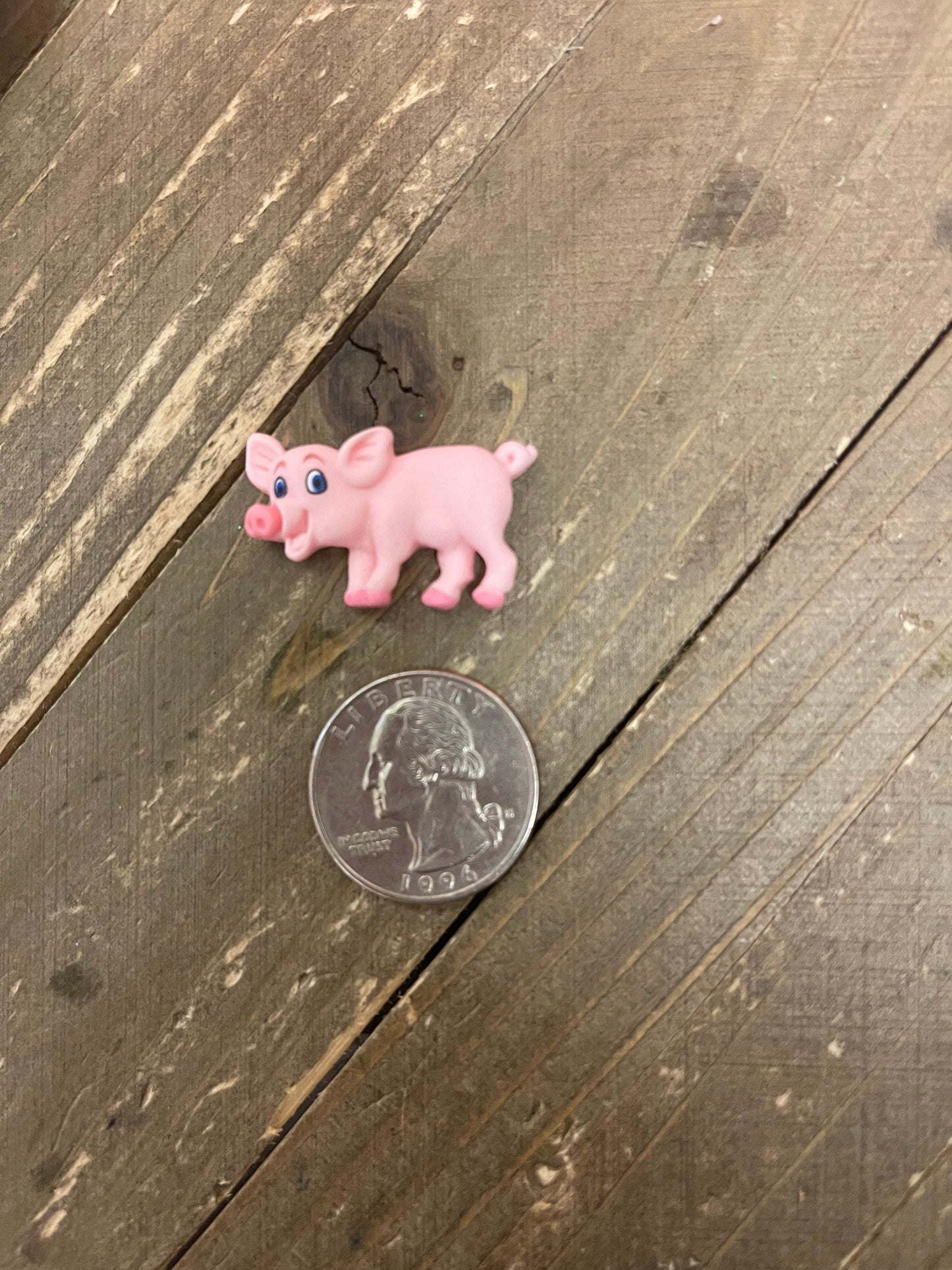 Piggly Wiggly Collection Stud EarringsPink tiful of LOVE