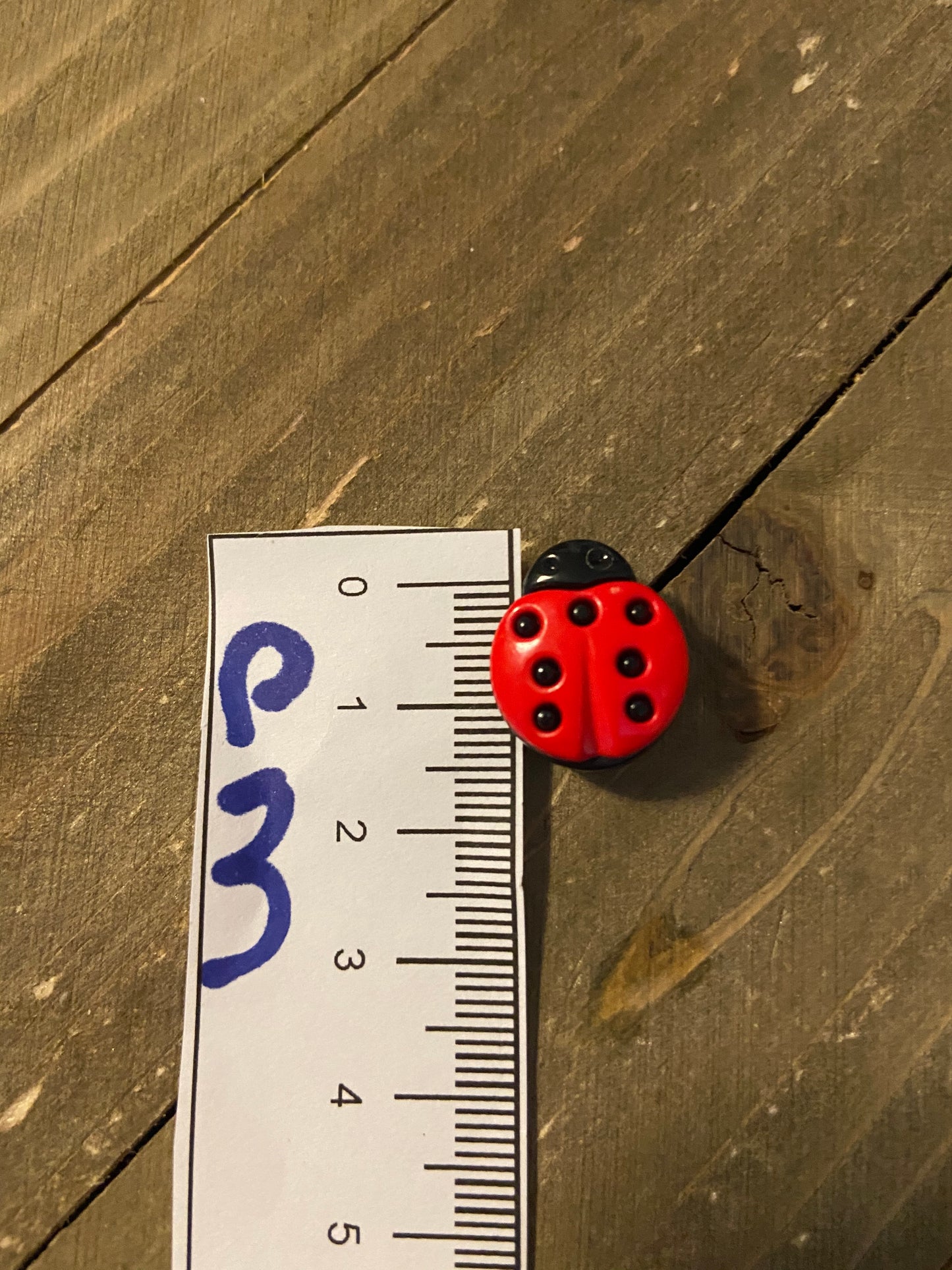 LADYBUG Earrings spread colors of warmth and happiness everywhere they goPink tiful of LOVE