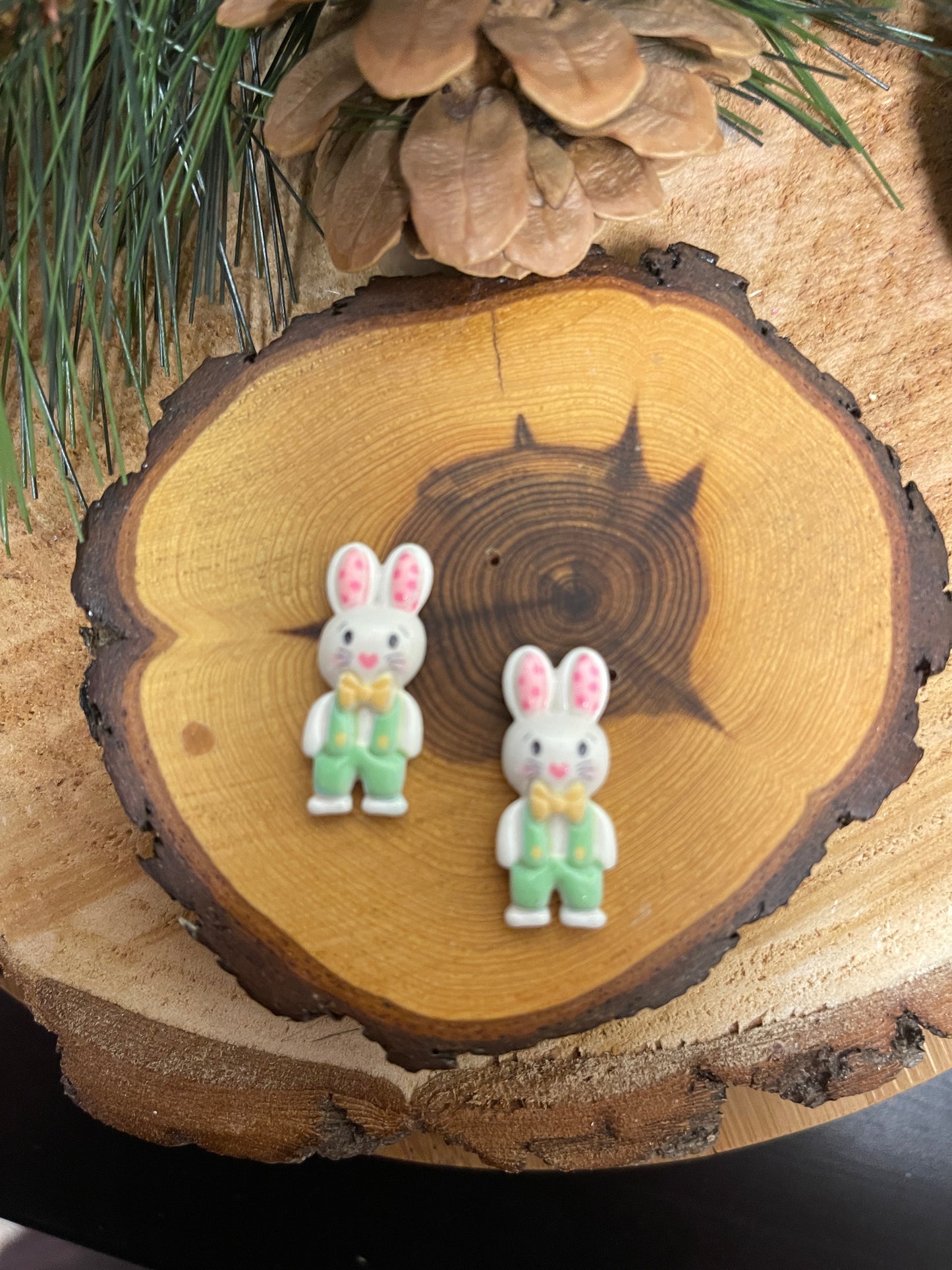 Peter Rabbit Post EarringsPink tiful of LOVE