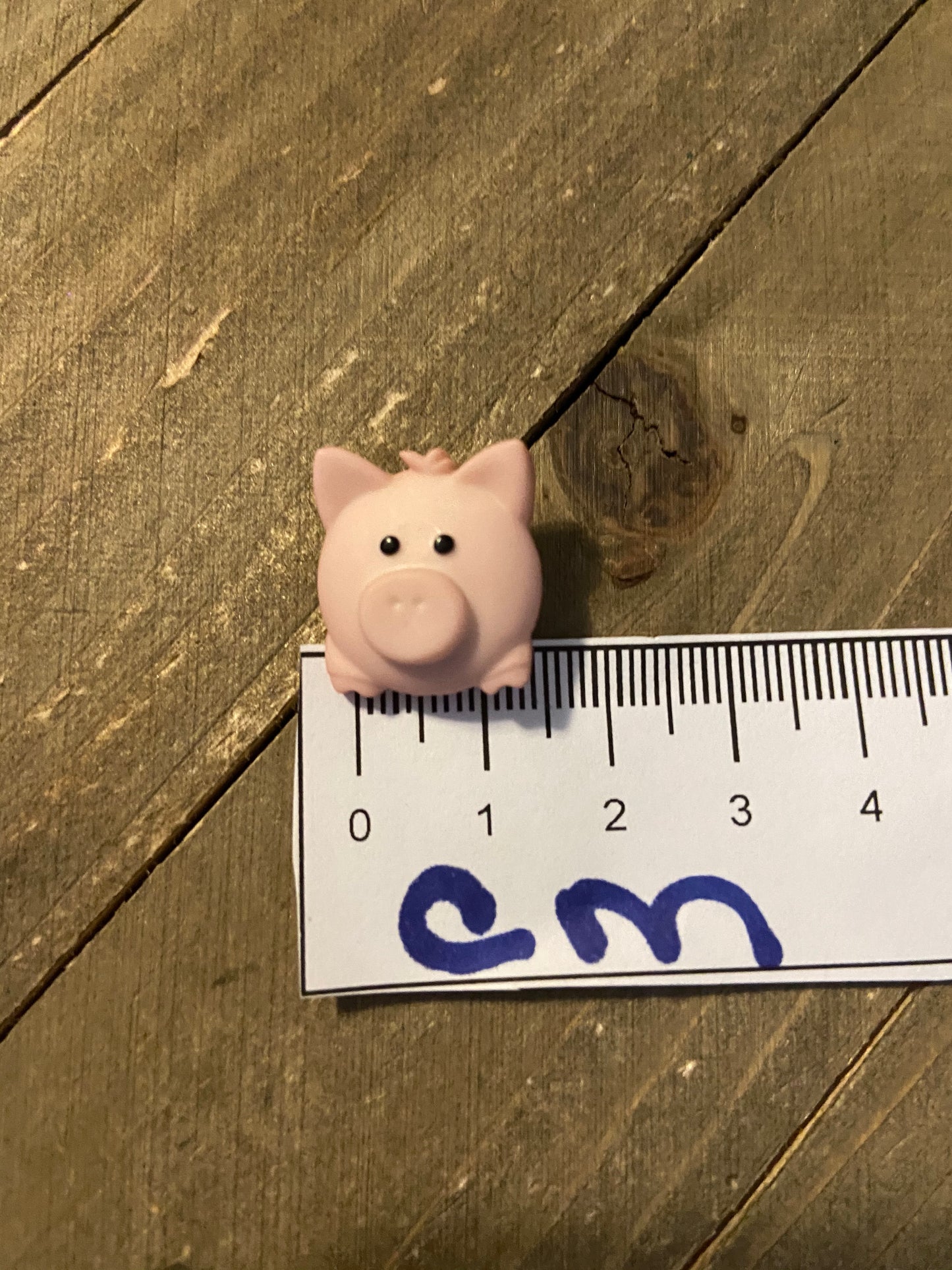 Pig Pen post earrings Earrings (2 different poses to choose)Pink tiful of LOVE