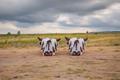 Highland Cow Stud Earrings | Handmade Acrylic Animal Jewelry