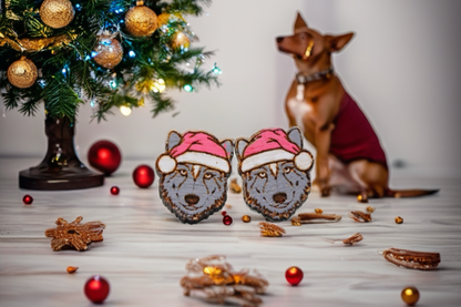 Santa Hat Wolf Stud Earrings | Handmade Wooden Holiday Jewelry