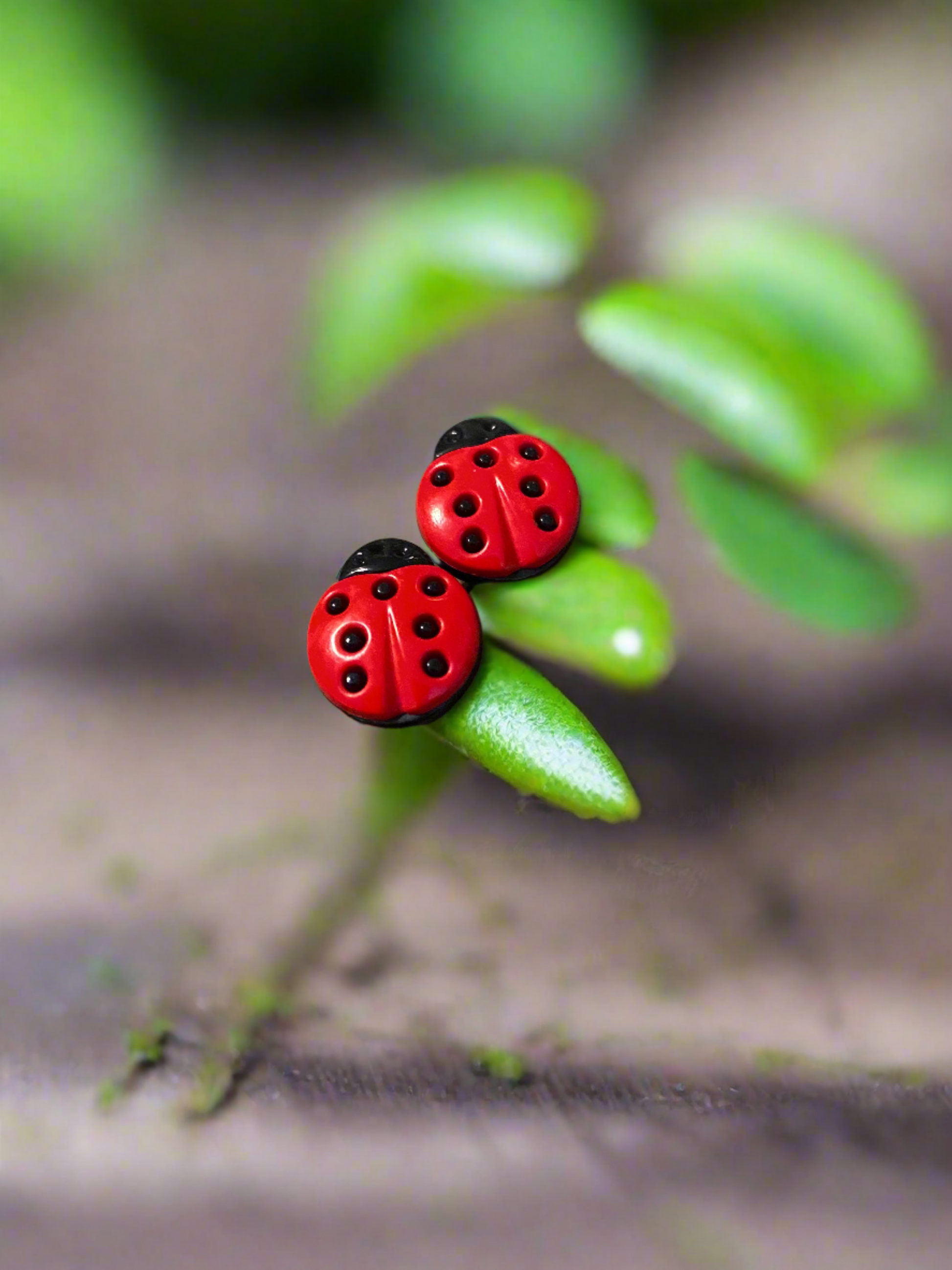LADYBUG Earrings spread colors of warmth and happiness everywhere they goPink tiful of LOVE