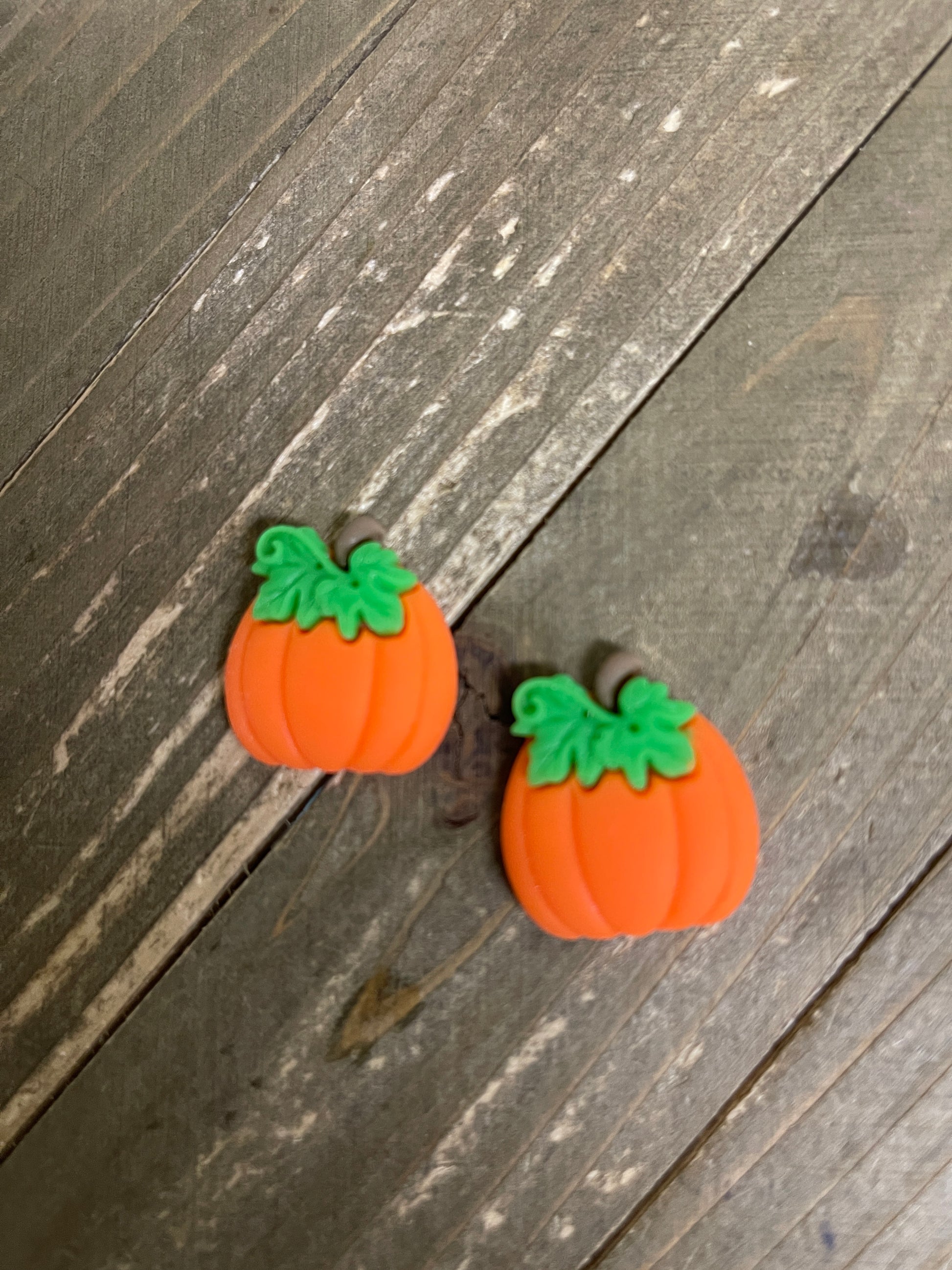 Bright Pumpkin with Vine Stud EarringsPink tiful of LOVE