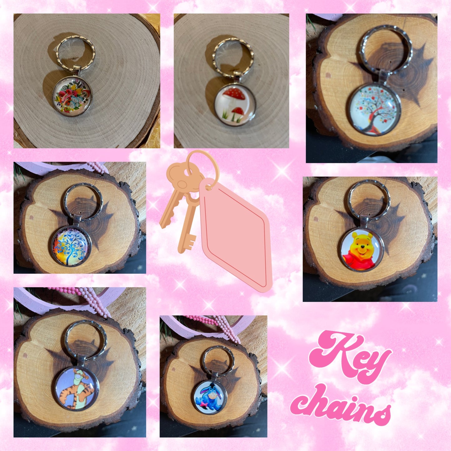 Assorted  Silver Cabochon Key Chains