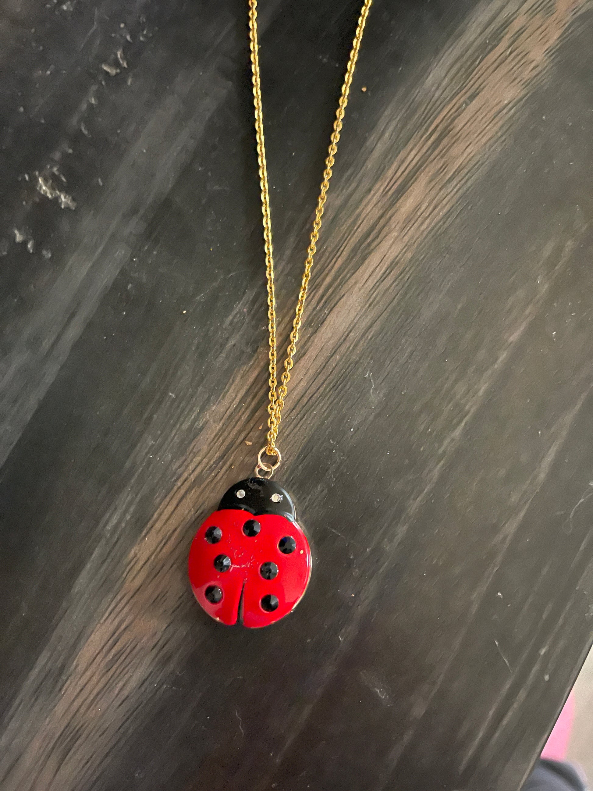 Ladybug locket pendant on a Gold Chain NecklacePink tiful of LOVE