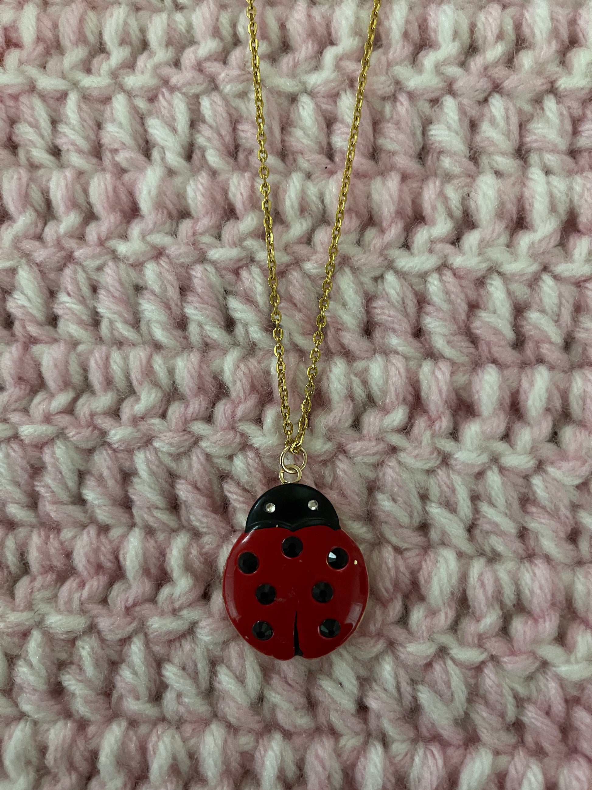 Ladybug locket pendant on a Gold Chain NecklacePink tiful of LOVE
