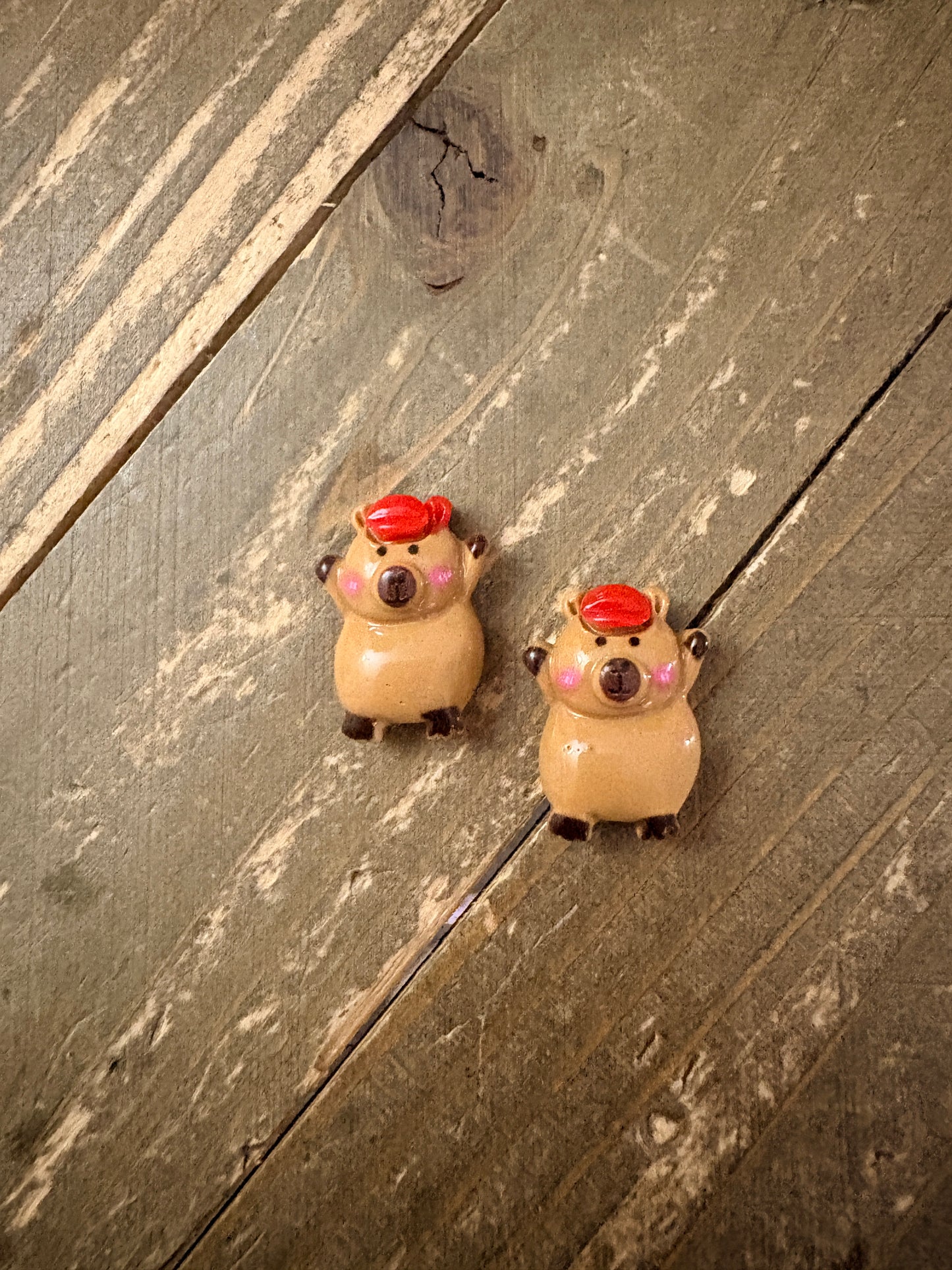 Capybara Stud Earrings — Cute Dressed-Up Capybara (5 Styles)