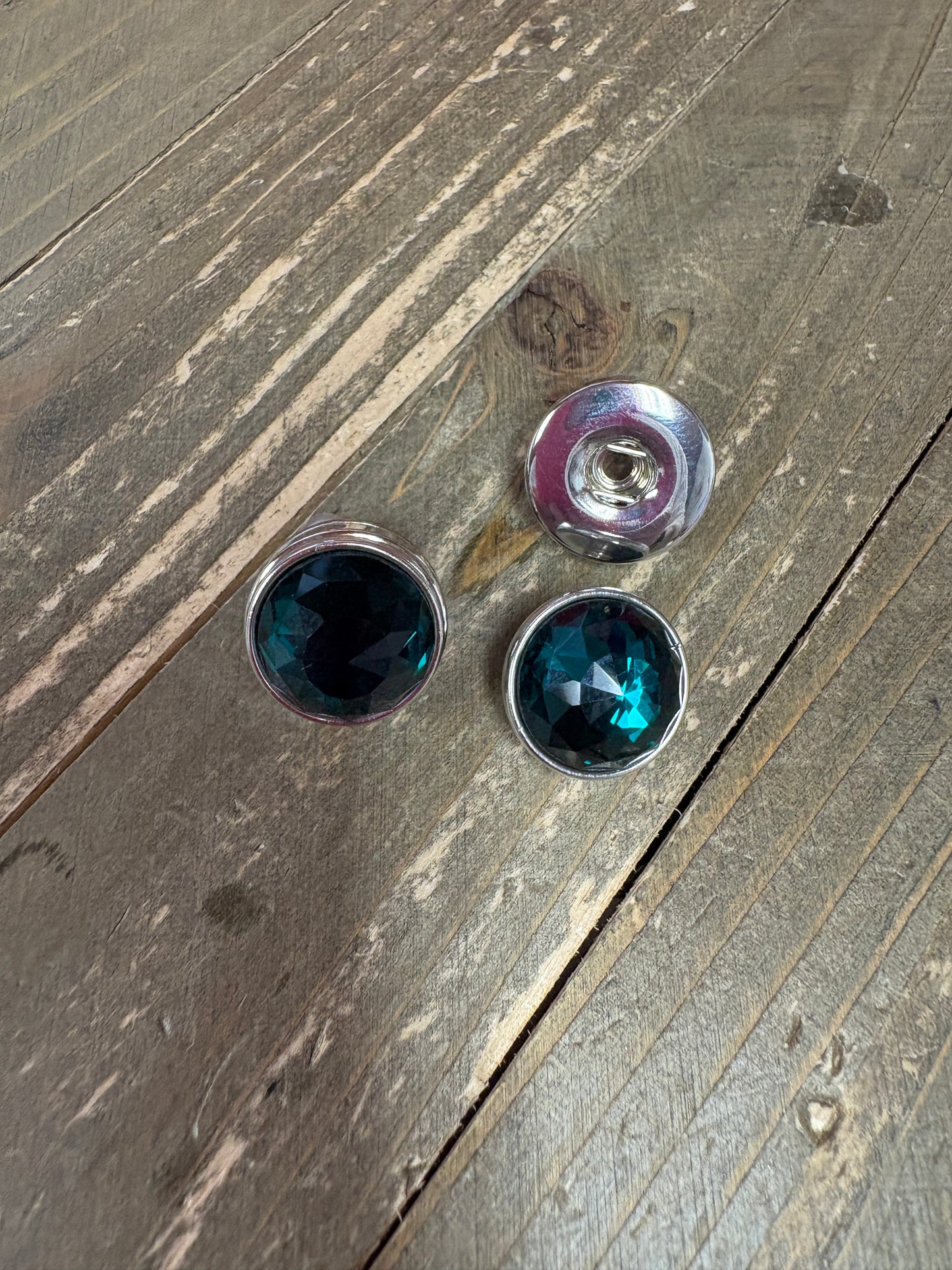 Interchangeable (SNAP) Earrings and 2 matching Snaps