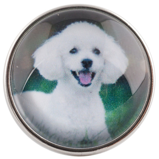 Poodle-white dog Glass GINGER SNAP Coordinates with 18-20mm Snap Necklace, bracelet, earringsPink tiful of LOVE