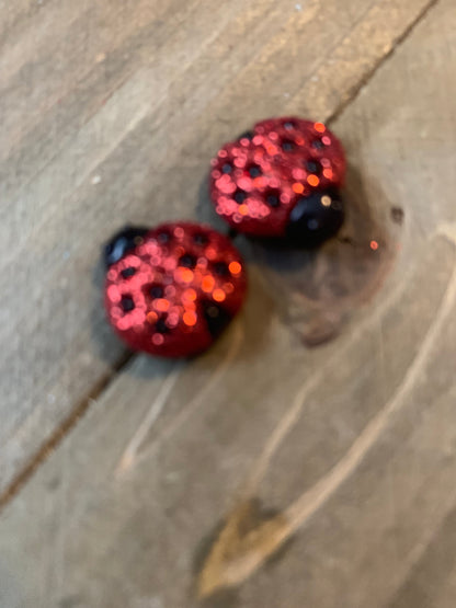 LADYBUG Earrings; sparkly Stud earringsPink tiful of LOVE