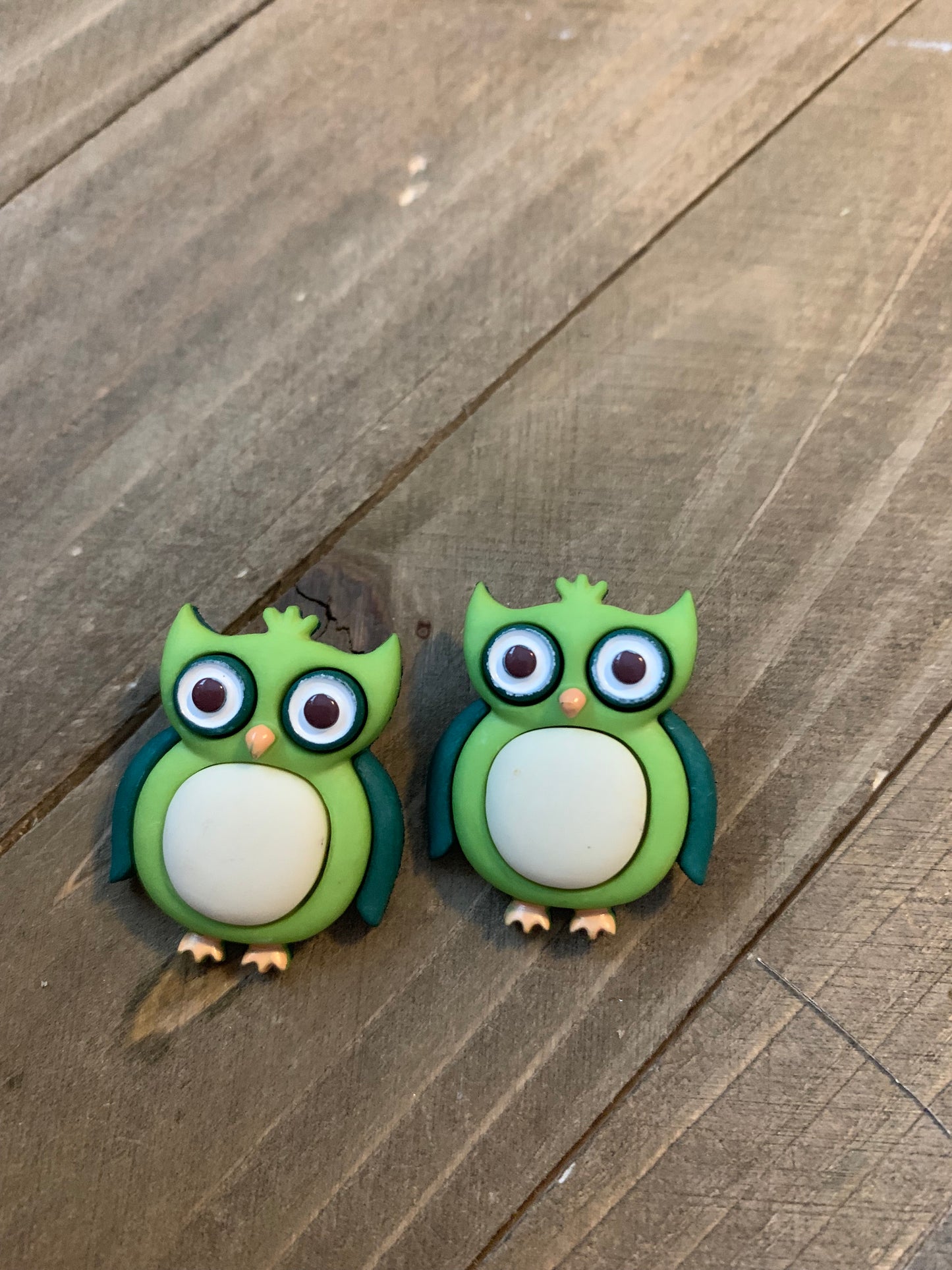 Wise Old Owl Post Earrings