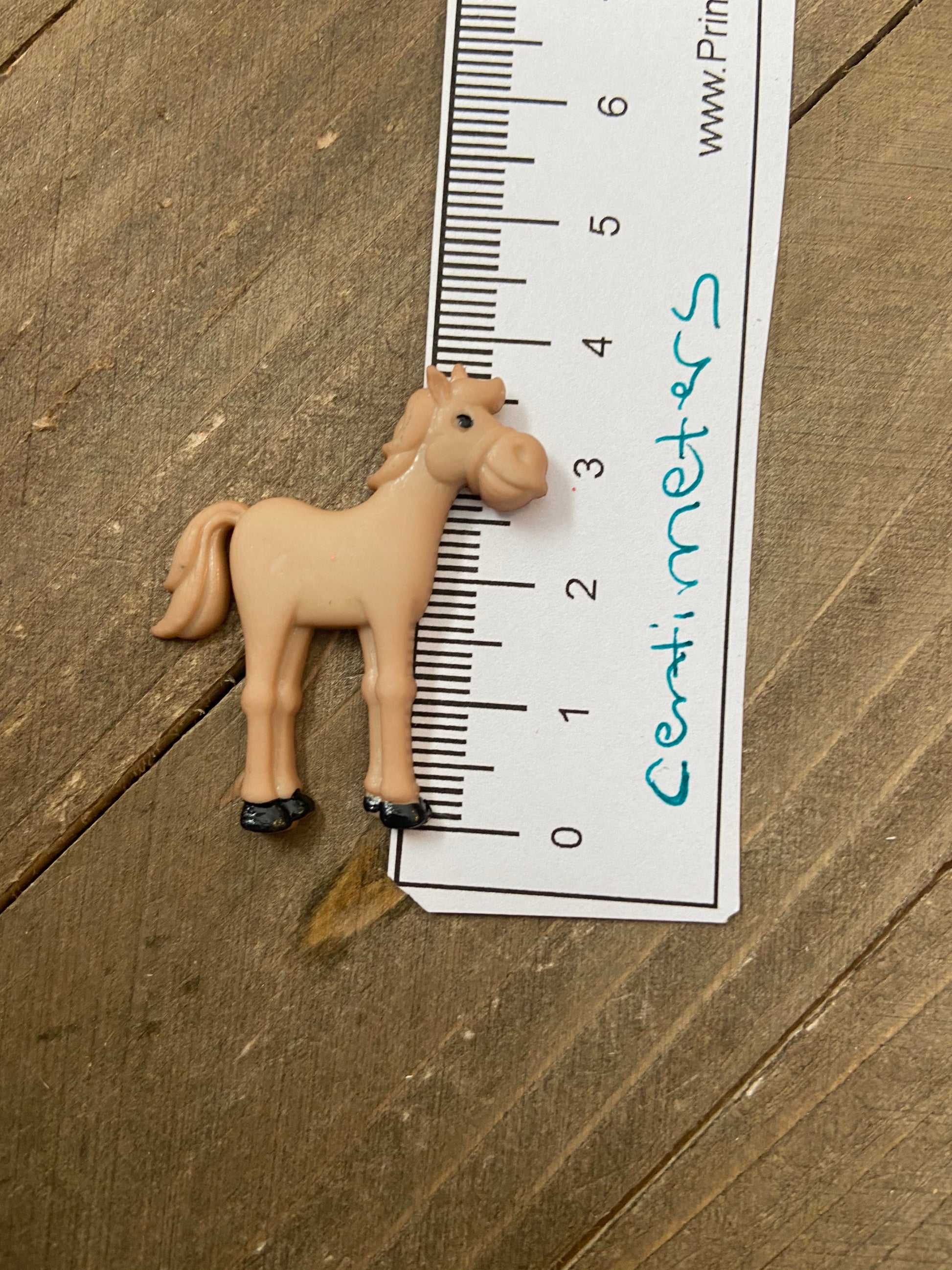 Funny Farm Animal  Post EarringsPink tiful of LOVE