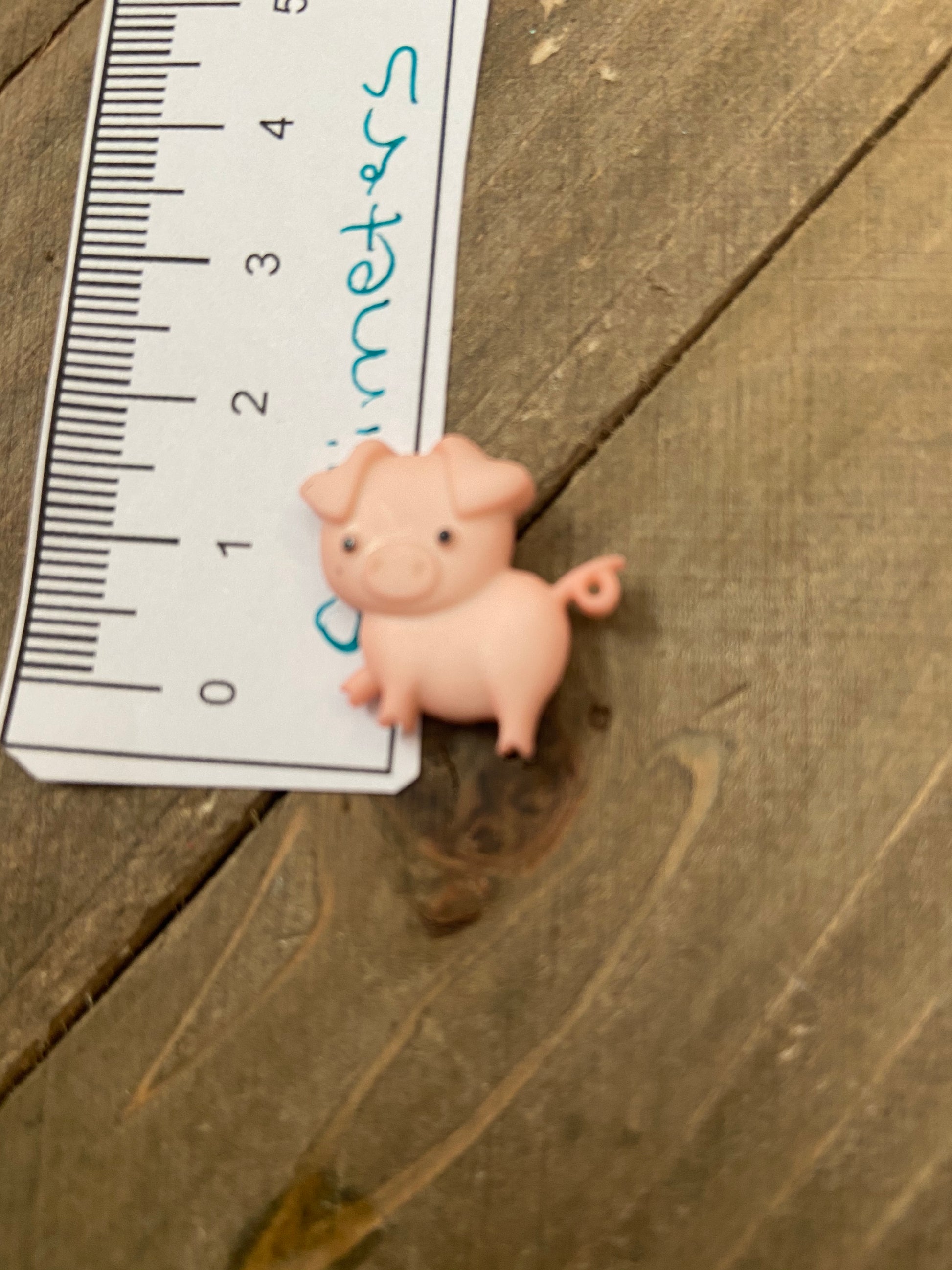 In the Barnyard Animal  Post Earrings (6 animals)Pink tiful of LOVE