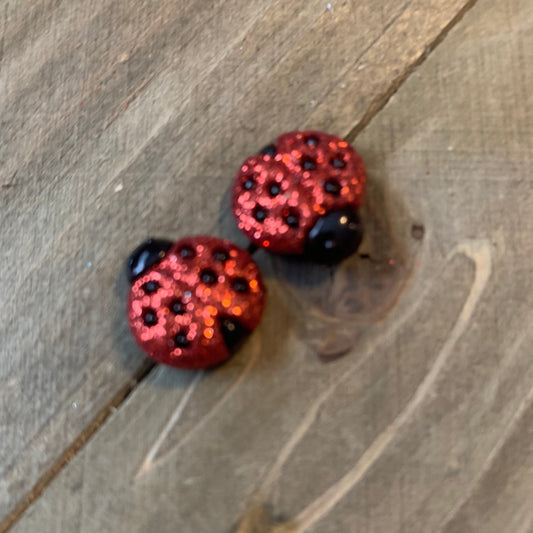 LADYBUG Earrings; sparkly Stud earringsPink tiful of LOVE