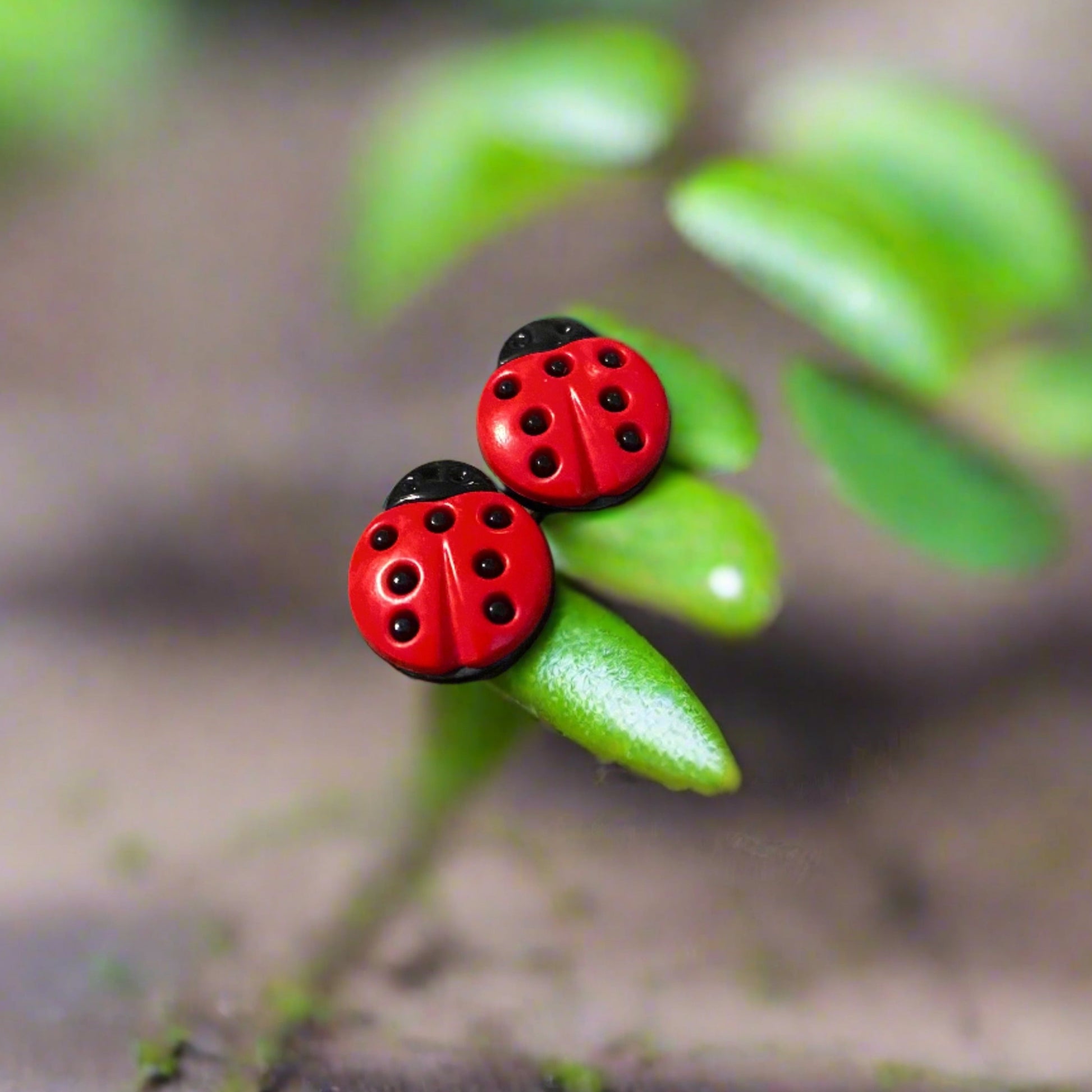 LADYBUG Earrings spread colors of warmth and happiness everywhere they goPink tiful of LOVE