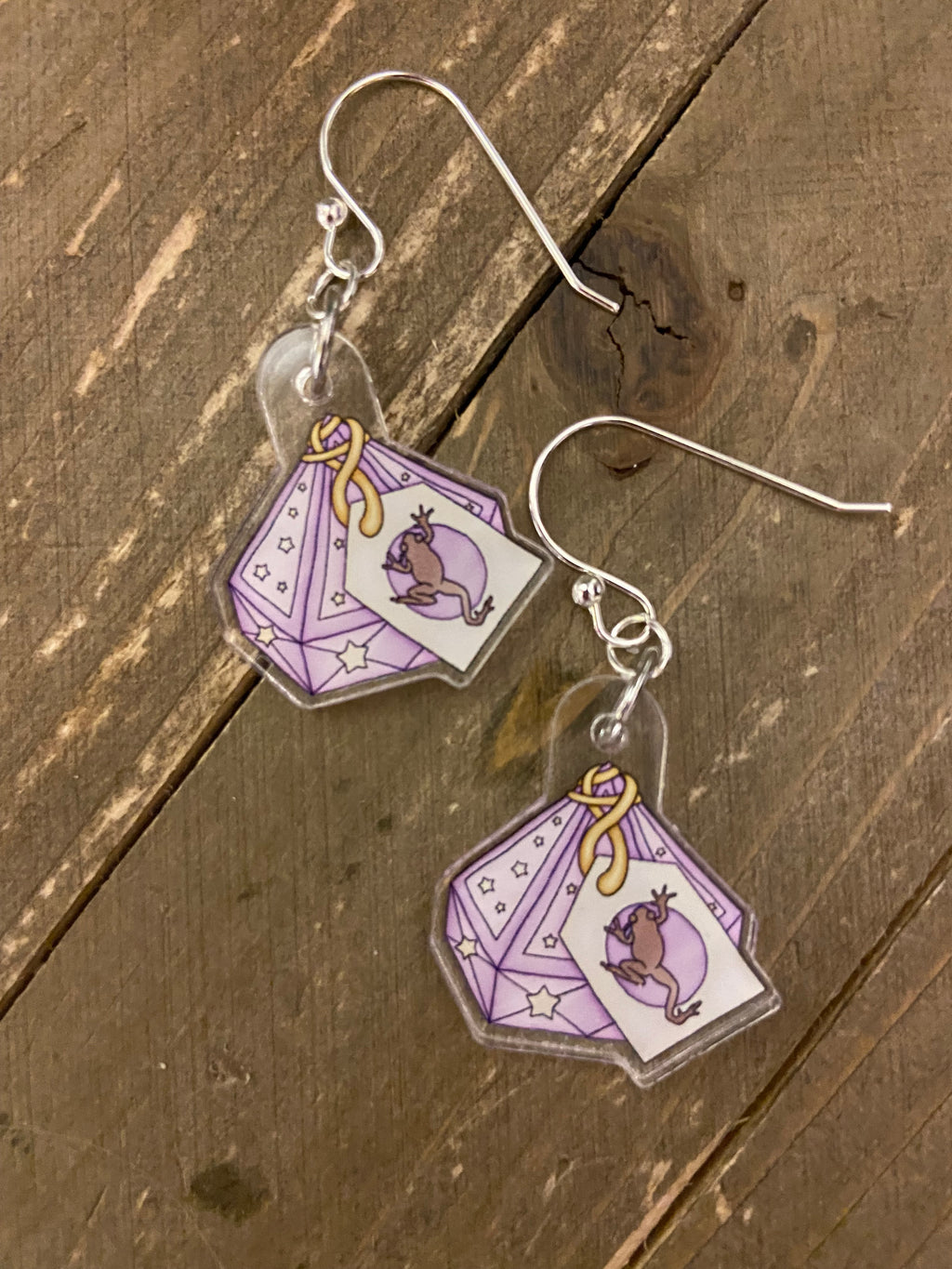 Chocolate Frog Box Acrylic Charm Wire  Earrings