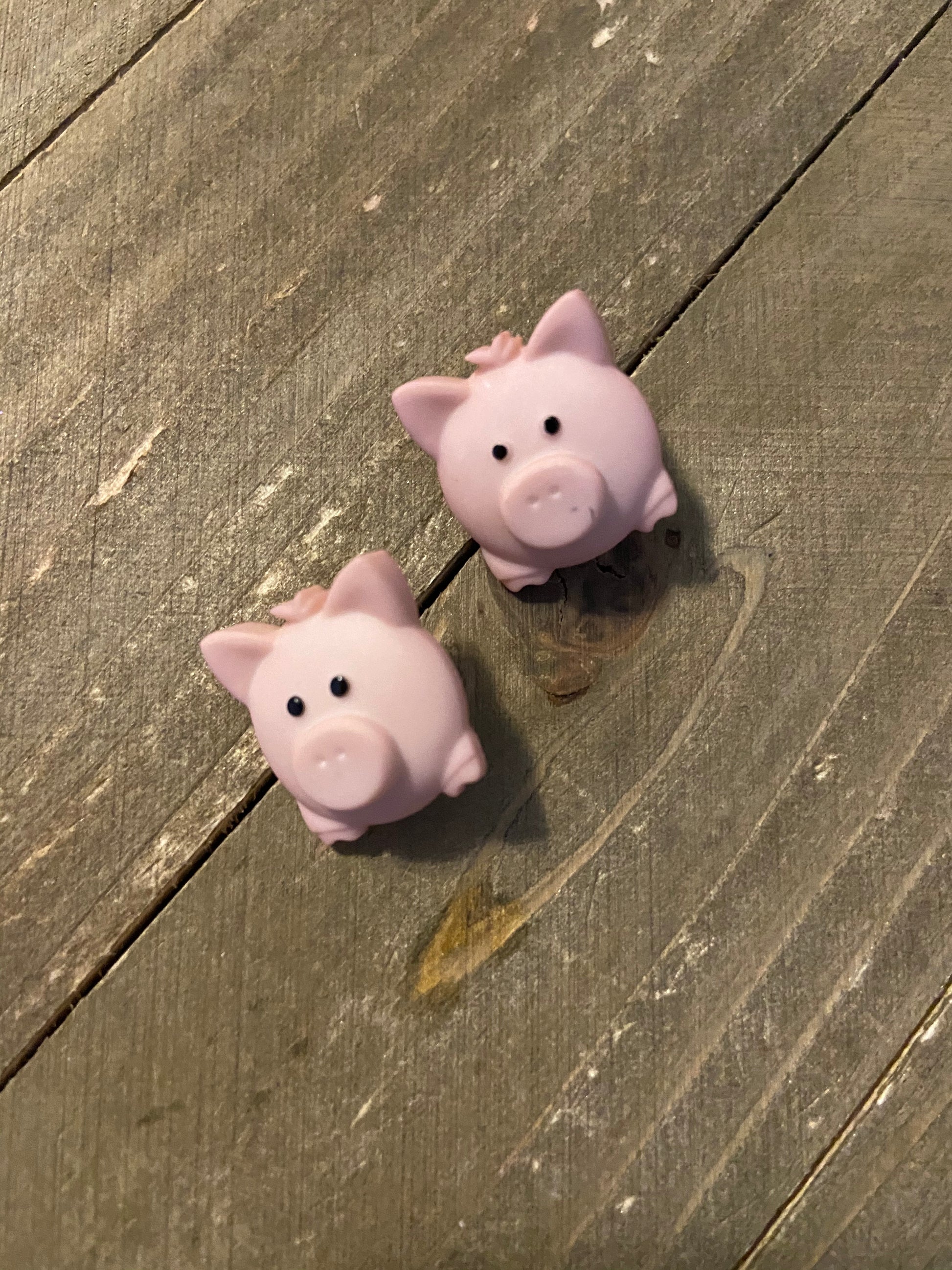 Pig Pen post earrings Earrings (2 different poses to choose)Pink tiful of LOVE
