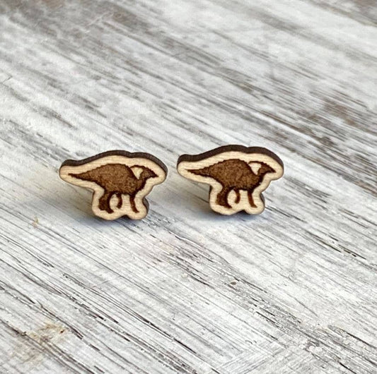 Dinosaur Studs  - ParasaurolophusPink tiful of LOVE